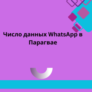 Число данных WhatsApp в Парагвае