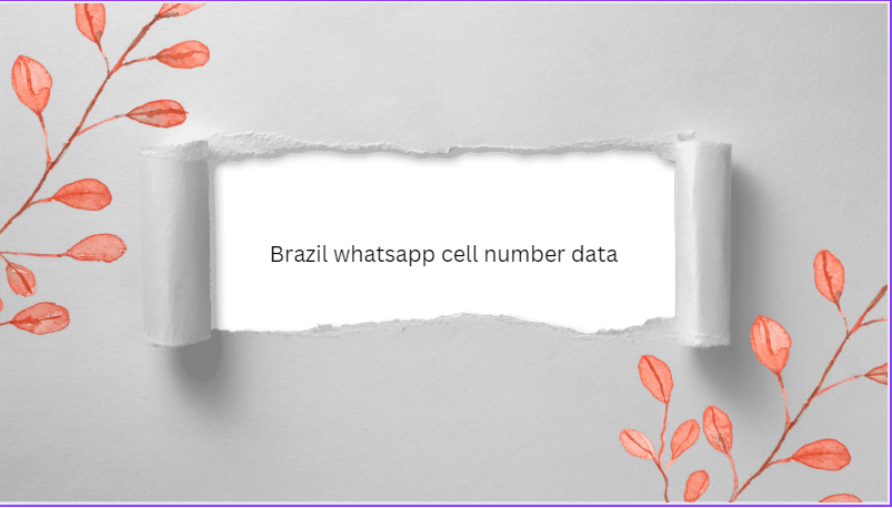 Brazil whatsapp cell number data